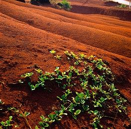 《永劫无间》新英雄玉玲珑8月上线 九尾灵狐神秘美艳